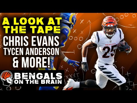 Reviewing Chris Evans, Tycen Anderson, the D-Line and MORE | Bengals on the Brain