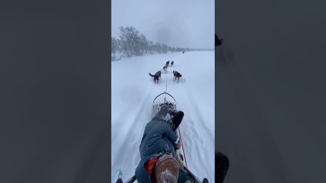 YouTube Short thumbnail