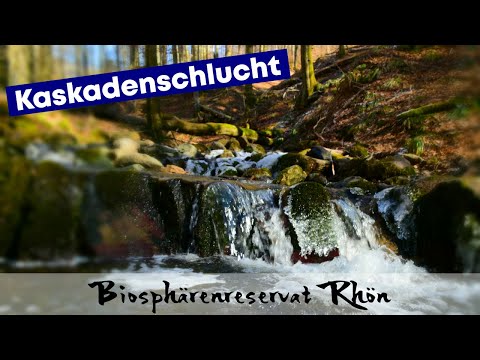 Kaskadenschlucht Rhön [2021]