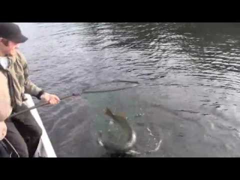 +10 kg jättihauki nappasi ruohojen keskeltä - Hauenkalastus - Spintube - Eumer