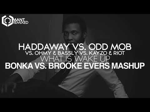 Haddaway Vs  Odd Mob Vs  KAYZO & RIOT   What Is Wake Up BONKA Vs  Brooke Evers Mashup