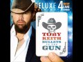 Toby Keith- Ain't Breakin' Nothin'