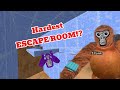 I UPDATED THE HARDEST ESCAPE ROOM IN GORILLA TAG! DEFAULT Thumbnail