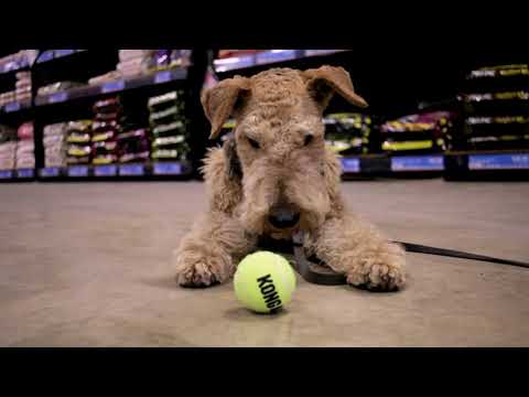 That Fish Place - That Pet Place - Cust. Experience Commercial -1