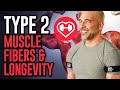 Unlocking Longevity Dr Peter Attia On The Crucial Role Of Type 2 Muscle Fibers