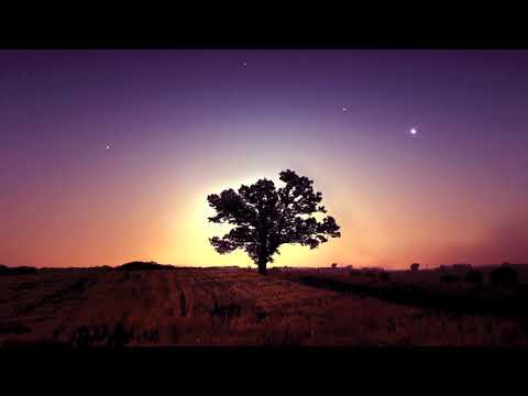 Magdelayna vs RMG - Back To The Stars (Magdelayna's Chilldown Mix) [2007]