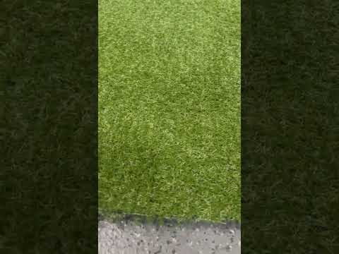 Декоративна трава LANDGRASS 15