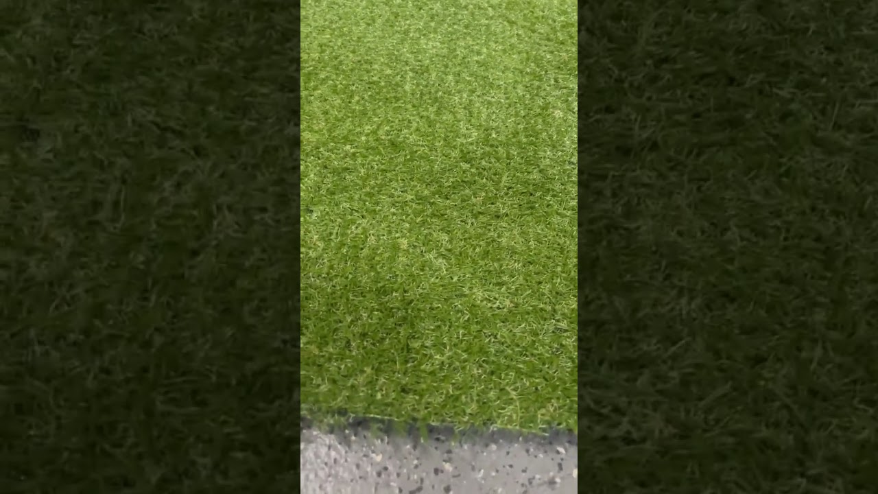 Декоративна трава LANDGRASS 15