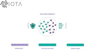 IOTA - Challenging the Status Quo