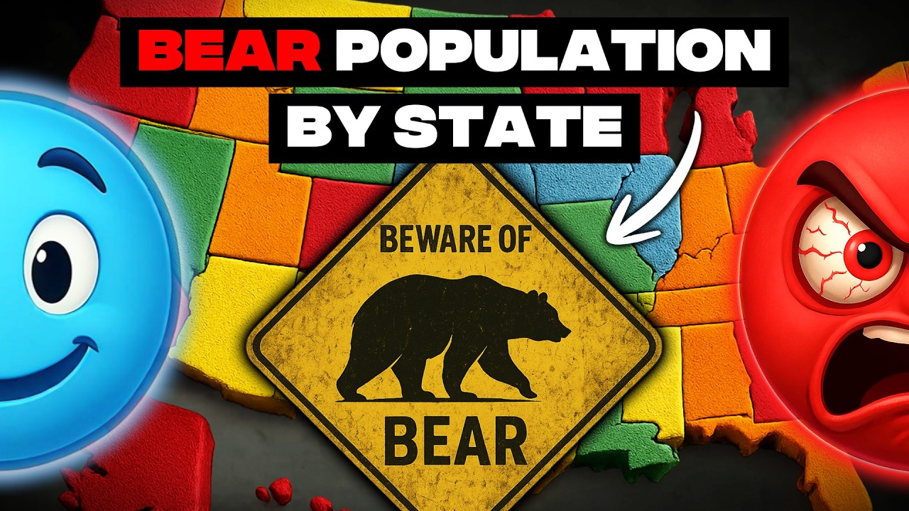 U.S. Bear Population Map: Which States Have the Most?