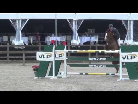 Family of Arsouille du Seigneur (1m60)