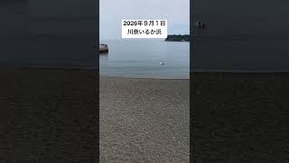 2026年９月１日川奈いるか浜の様子