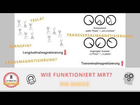 Wie funktioniert MRT? Die Basics