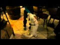 Le chien qui danse sur " Stach Stach " des ...