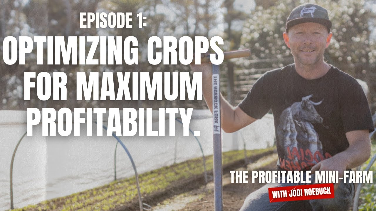 Cultivating Profits: Jodi Roebuck's Mini Farming Strategies for Financial Success | (TPMF E1)