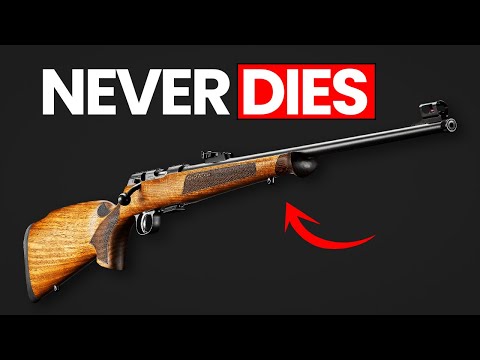 TOP 10 .22 LR Rifles That Last FOREVER!