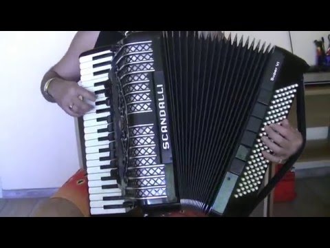 Scandalli Super VI 120 bass black super Accordion Akkordeon (3)