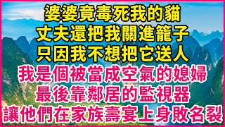 婆婆竟毒死我的貓，丈夫還把我關進籠子，只因我不想把它送人！我是個被當成空氣的媳婦，最後靠鄰居的監視器，讓他們在家族壽宴上身敗名裂！【真實故事】#生活經驗 #情感故事 #深夜淺讀 #幸福人生 #深夜淺談