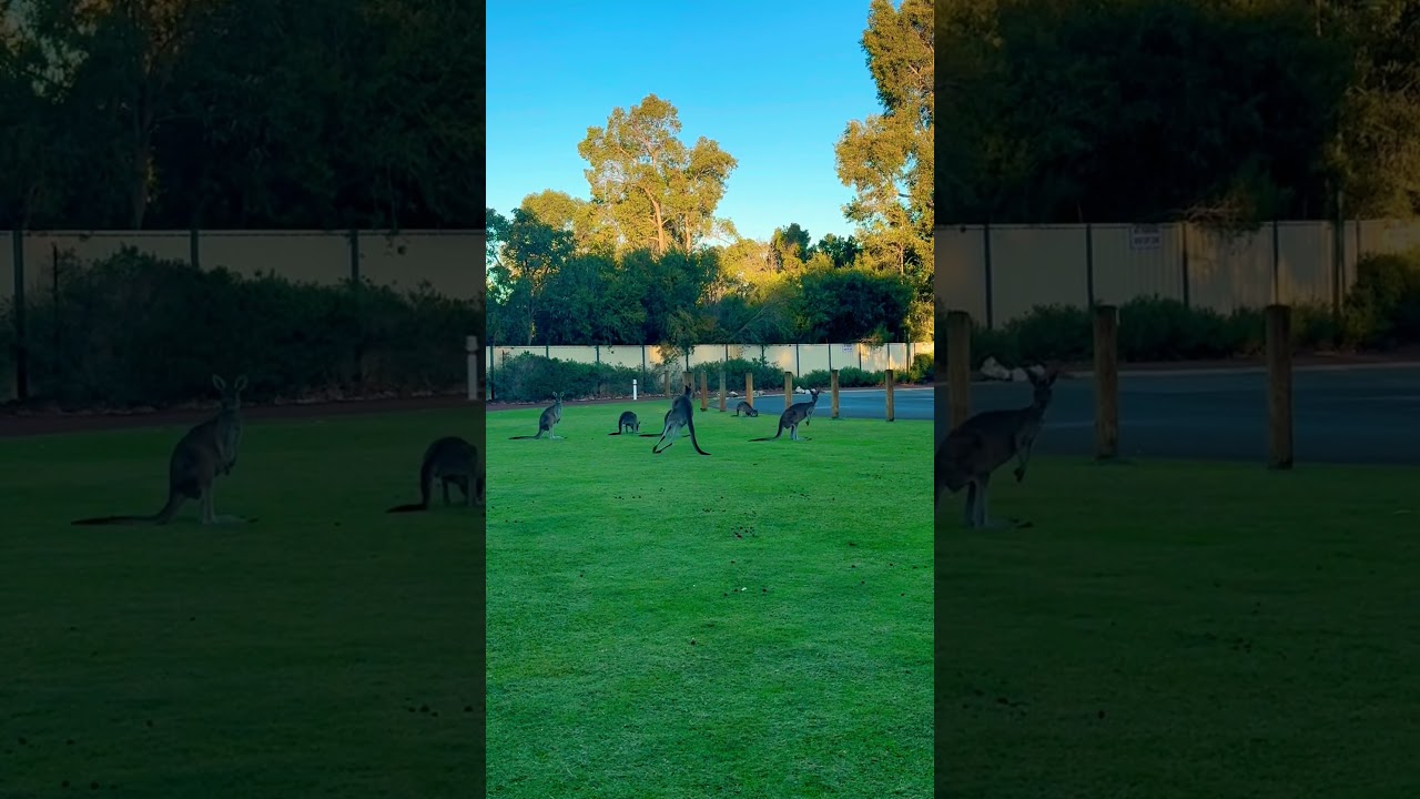 YouTube Short thumbnail