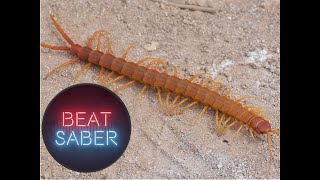 Download lagu Knife Party - Centipede | Expert , A Rank | Beat Saber mp3