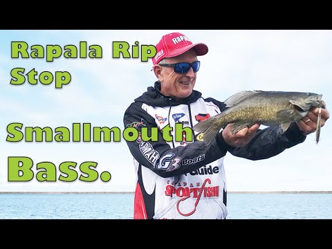 Csf 33 04 Rapala Rip Stop Twitching Smallmouth Bass