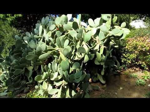 Лимассол и туристическая зона    