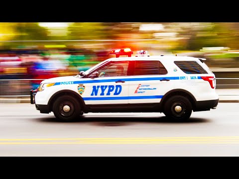 Emergency Bodega Dispatch