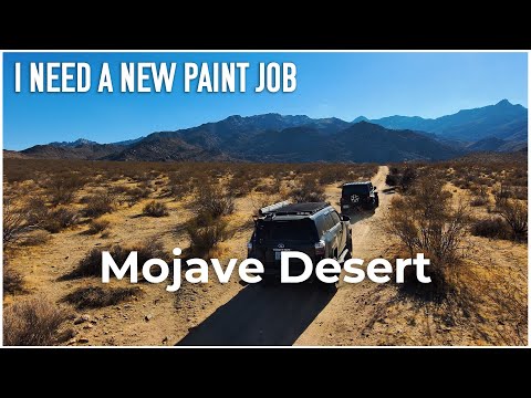 Winter Camping in the Mojave Desert