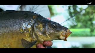 Daiwa black widow br 5000