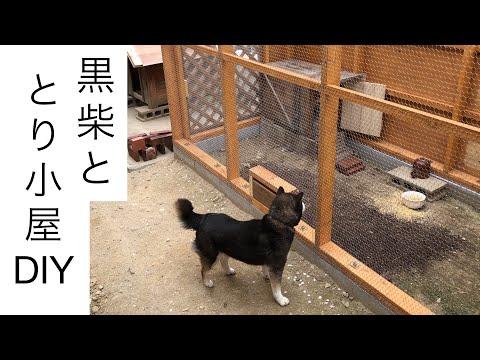 自宅で鶏小屋を作る方法 2023