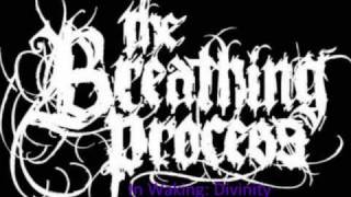 The Breathing Process- In Waking: Divinity