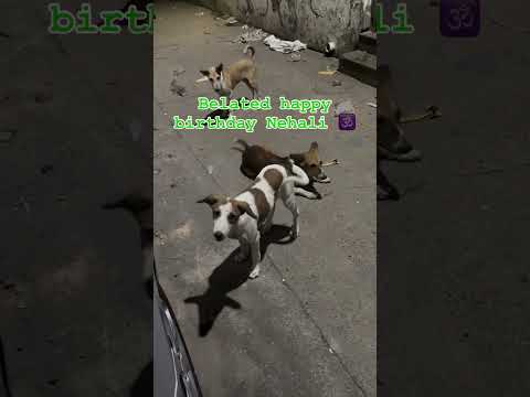 Happy birthday to Nehali-)