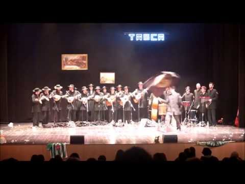 Tuna Templária de Tomar - Gelado de Verão