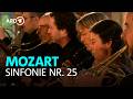 W.A. Mozart: Sinfonie Nr. 25 g-Moll KV 183, 1. Satz | Freiburger Barockorchester | BR-KLASSIK
