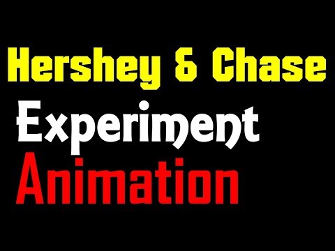 Hershey and Chase experiment animation