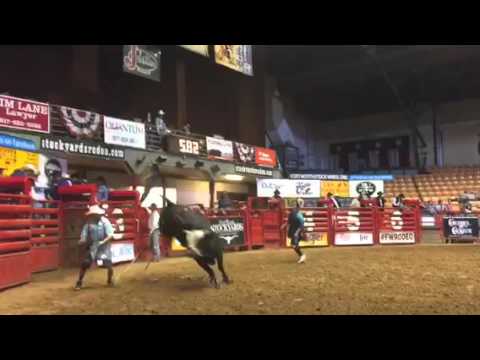 264 Legit stuff 11/9