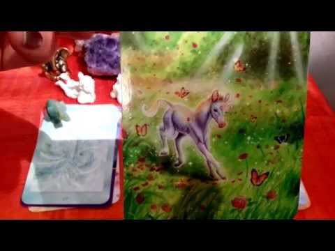 Engel Liebesorakel vom 14.-21. Februar 2015