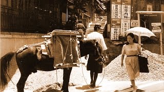 Valuable horses of load carrying  in Nagasaki, JAPAN(with English cc)