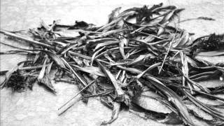 Clap your hands say yeah - Misspent Youth