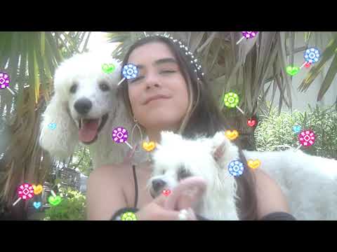 MJ Nebreda - Perreo Contra la Depresión (Official Video)