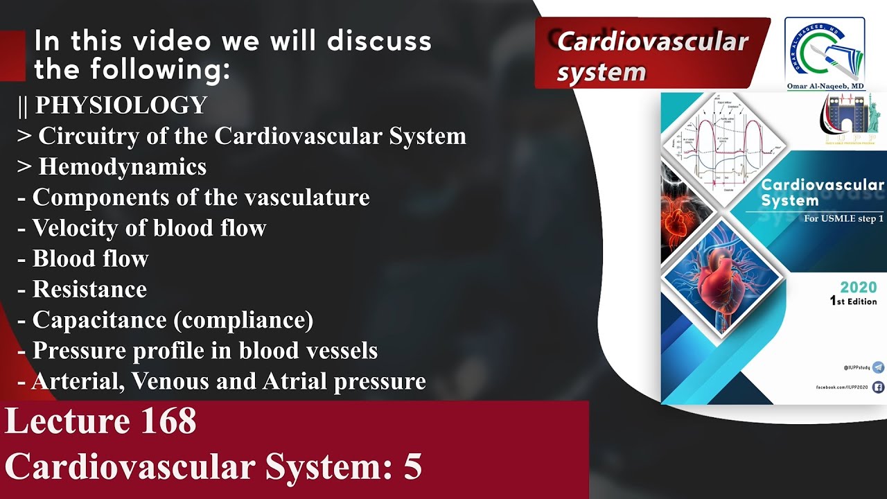 Circuitry of the Cardiovascular System | Capacitance (compliance) | Resistance, pressure and flow