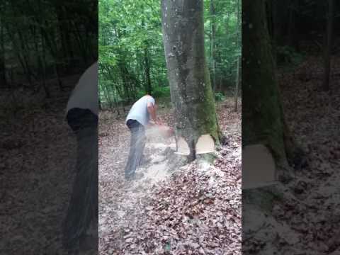 Prigorski drvosječa i Husqvarna