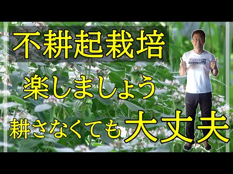 適切なマルチングは本質的に土壌の生命の発達に役立ちます