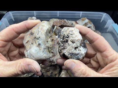 The Random Rock-Off Round 37