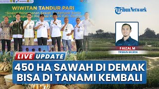 Akhirnya Lahan Sawah 450 Hektare di Demak Bisa Ditanami Berkat Normalisasi Sungai Pelayaran