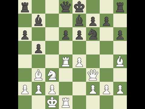 Berezjuk Sergej (CZE) VS Trichkov Vasil (CZE)