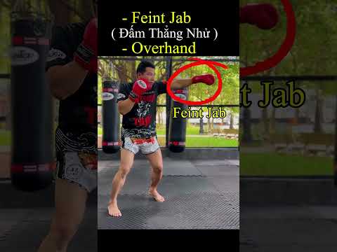 Feint Jab  ( Đấm Thẳng Nhử) – Overhand  #boxing #mmafighter #muaythai #mma #kickboxing #fighter