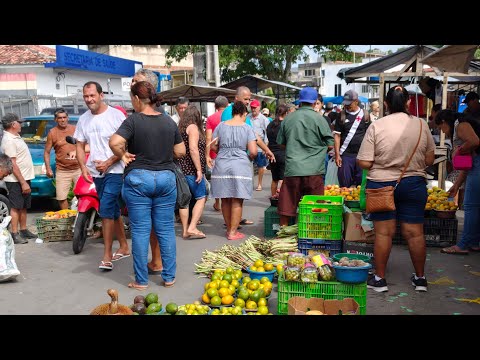 A FEIRA LIVRE DE BOM JARDIM PERNAMBUCO 22/04/2026