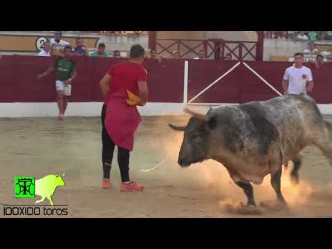 Suelta de reses en Borox TOLEDO