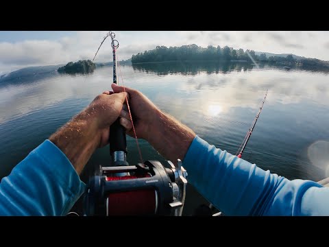 SIMPLE and EASY Method for Catching BIG Catfish All Summer Long